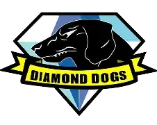 stole from MGSV
